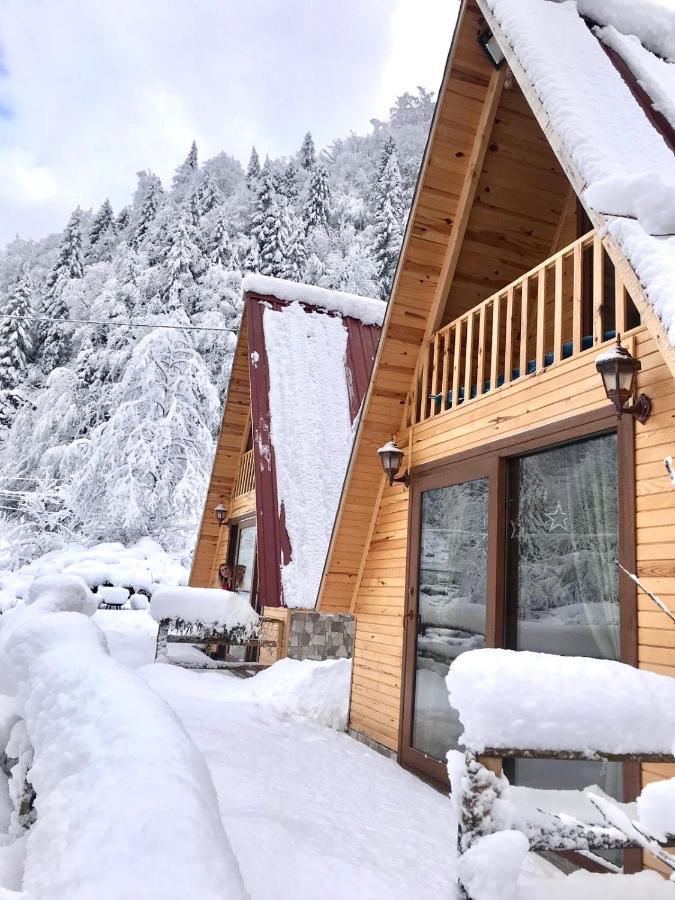 Foga Bungalov Çamlıhemşin Dış mekan fotoğraf