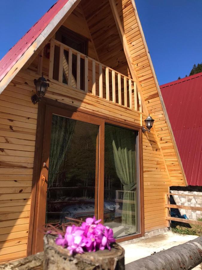 Foga Bungalov Çamlıhemşin Dış mekan fotoğraf